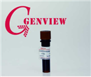 GG1301-500UL GenGreen核酸染料